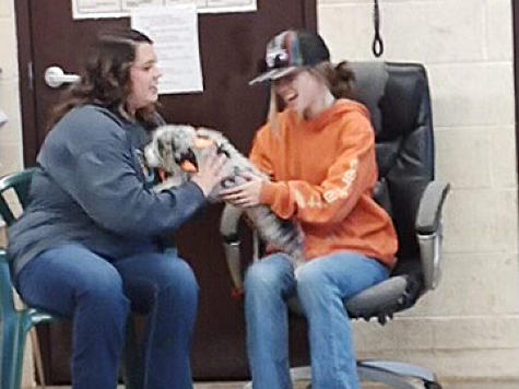 Trunk or Treat event