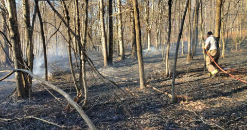 Brush Fire