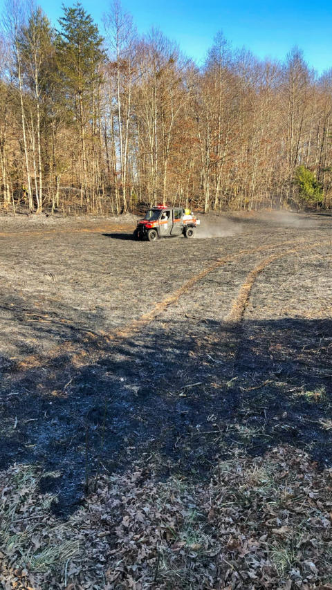 Brush Fire