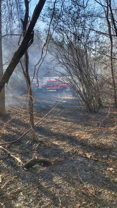 Brush Fire