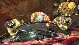 Vehicle Extrication Training