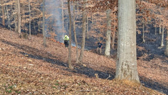 Brush Fire