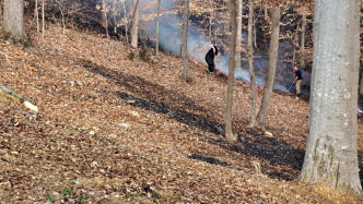 Brush Fire