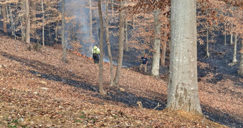 Brush Fire