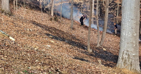 Brush Fire