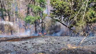 March 21st 2025 Brush Woods Fire