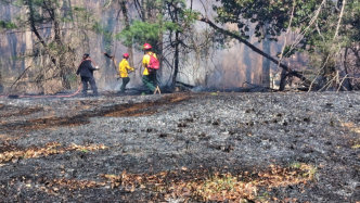 March 21st 2025 Brush Woods Fire