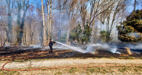 March 21st 2025 Brush Woods Fire