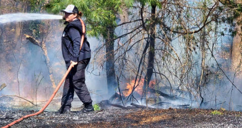 March 21st 2025 Brush Woods Fire