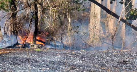 March 21st 2025 Brush Woods Fire