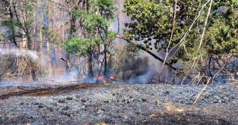 March 21st 2025 Brush Woods Fire