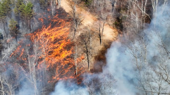 March 22nd 2025 large woods Fire