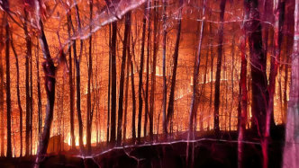 March 22nd 2025 large woods Fire