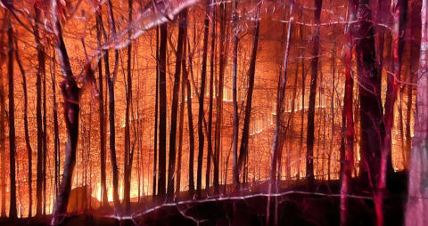 March 22nd 2025 large woods Fire