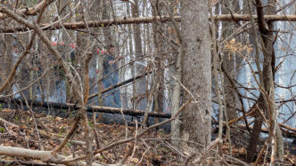 March 21st 2025 Brush Woods Fire