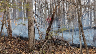 March 21st 2025 Brush Woods Fire