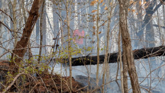 March 21st 2025 Brush Woods Fire