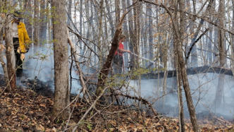 March 21st 2025 Brush Woods Fire