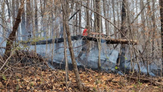 March 21st 2025 Brush Woods Fire