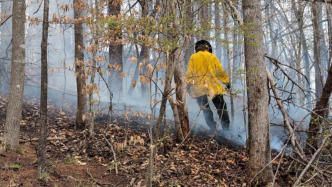 March 21st 2025 Brush Woods Fire