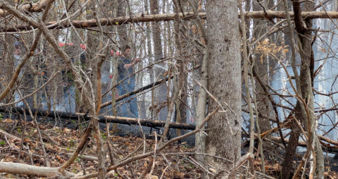 March 21st 2025 Brush Woods Fire