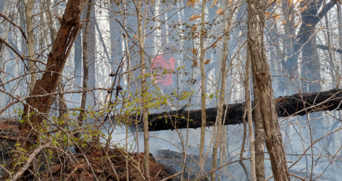 March 21st 2025 Brush Woods Fire