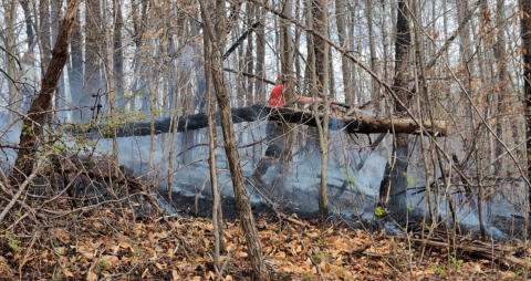 March 21st 2025 Brush Woods Fire