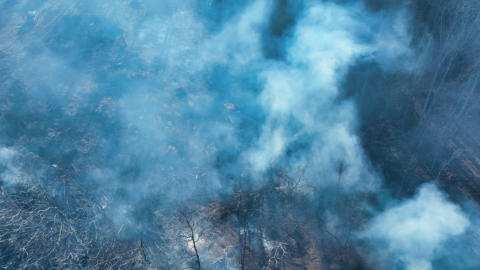 March 10th Monday night training