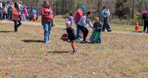 March 21st 2025 Brush Woods Fire